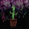 Dancing Cactus toy Rechargeable